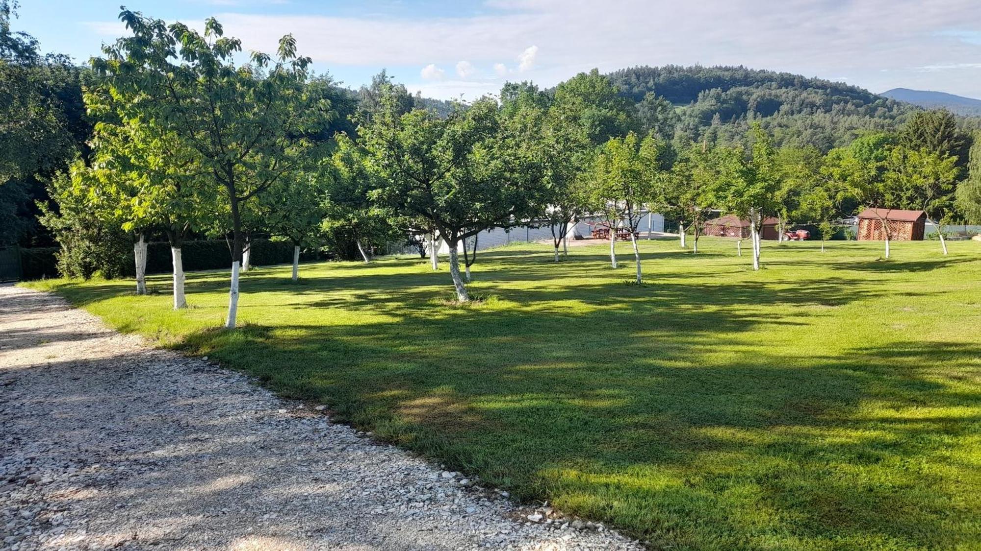 Orzechowka Lądek-Zdrój Exteriör bild